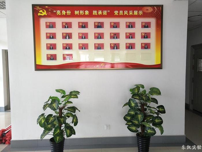东凯实验学校开展“亮身份、树形象、践承诺”主题教育活动