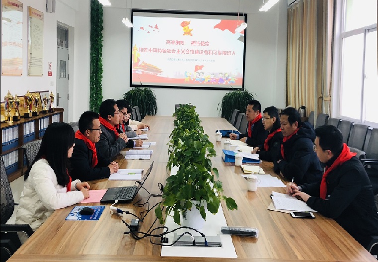 团市委领导到我校进行学校团队工作调研