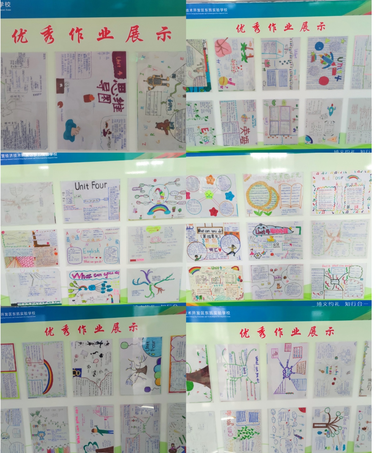 小学部五年级举行英语思维导图大赛